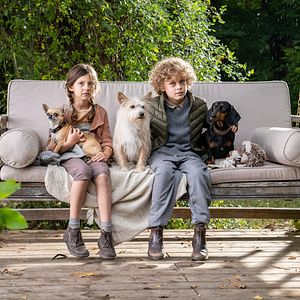 Bilder Die Rettung der uns bekannten Welt