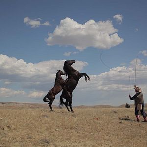 Bilder Meine Helden waren Cowboys