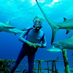 Bilder Wonders Of The Sea