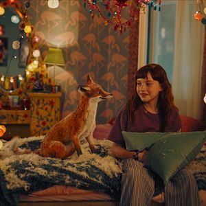 Bilder Die Schule der magischen Tiere