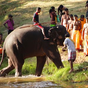 Bilder Altaïr Conférences - Sri Lanka, L'île des dieux et des hommes