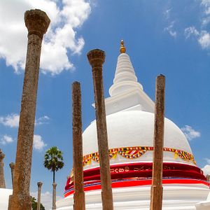 Bilder Altaïr Conférences - Sri Lanka, L'île des dieux et des hommes