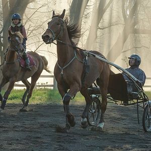 Bilder Carmen Kassovitz