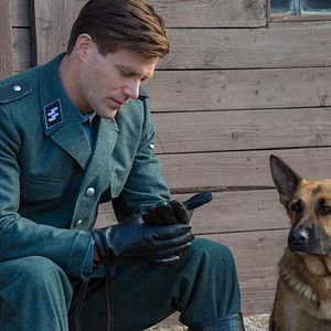 Bilder Shepherd - Die Geschichte eines Helden