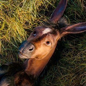 Bilder The Magic Roads - Auf magischen Wegen