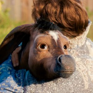 Bilder The Magic Roads - Auf magischen Wegen