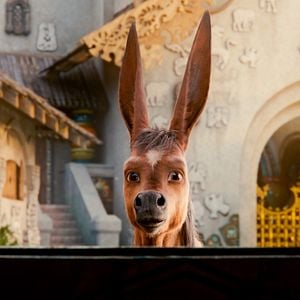 Bilder The Magic Roads - Auf magischen Wegen