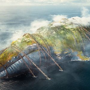 Bilder The Magic Roads - Auf magischen Wegen