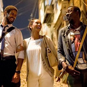 Bilder Medida Provisória