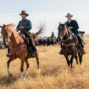 Bilder Benedict Cumberbatch