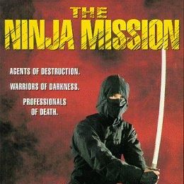 Bilder Ninja - In geheimer Mission