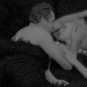 Bilder Der Mensch ist kein Vogel