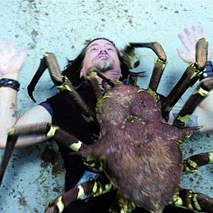 Bilder Aquarium Of The Dead