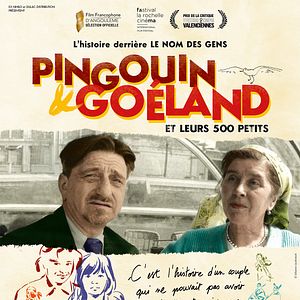 Bilder Pingouin & Goéland et leurs 500 petits