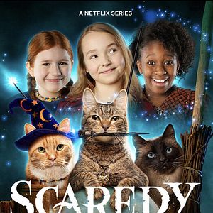 Bilder Hexen und Katzen