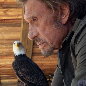 Bilder Johnny Hallyday