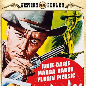 Bilder Der weite Ritt der gelben Rose