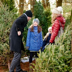 Bilder Weihnachtszauber auf Bestellung