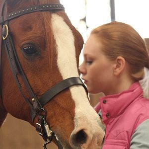 Bilder Glory - Eine ungezähmte Freundschaft