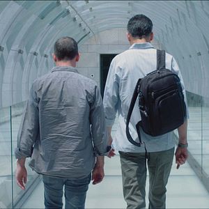 Bilder The Brain - Cinq nouvelles du cerveau