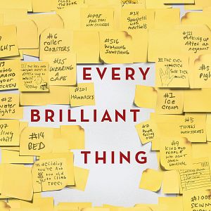 Bilder Every Brilliant Thing