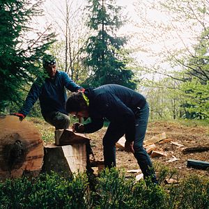 Bilder The Quest for Tonewood