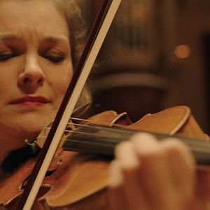 Bilder The Quest for Tonewood