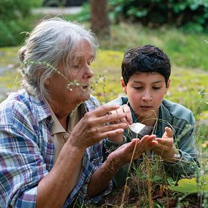 Bilder Erster Schnee