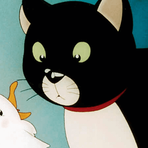 Bilder Wie Kater Zorbas der kleinen Möwe Lucky das Fliegen beibrachte