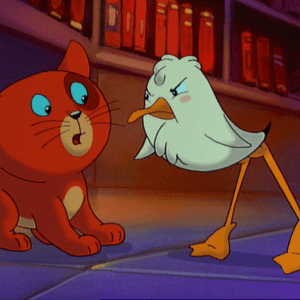 Bilder Wie Kater Zorbas der kleinen Möwe Lucky das Fliegen beibrachte