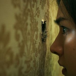 Bilder The Whole Truth