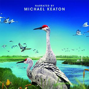 Bilder Wings Over Water