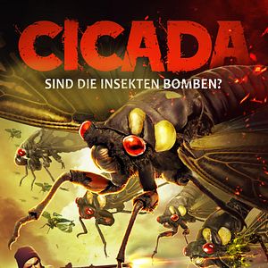 Bilder Cicada - Sind die Insekten Bomben?