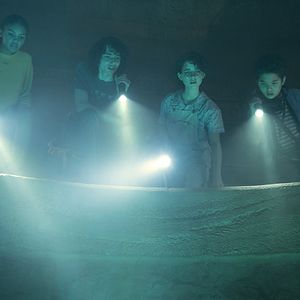 Bilder Celeste O’Connor