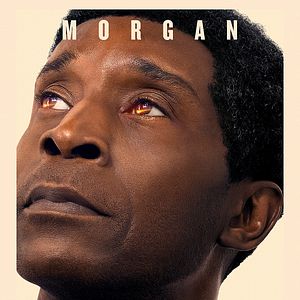 Bilder Don’t Look Up