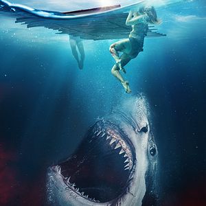Bilder The Requin - Der Hai