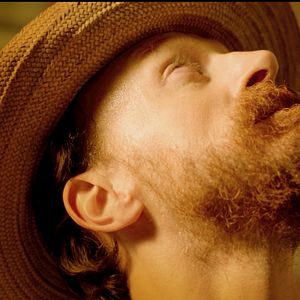 Bilder Exhibition On Screen: Sonnenblumen