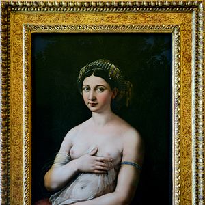 Bilder Exhibition On Screen: Raphael Revealed