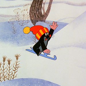 Bilder Le Carnaval de la petite taupe