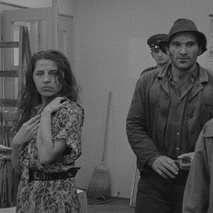 Bilder Der Mensch ist kein Vogel