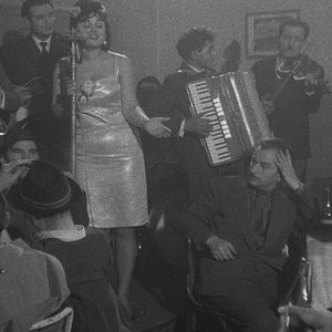 Bilder Der Mensch ist kein Vogel