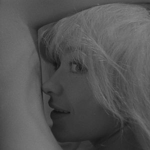 Bilder Der Mensch ist kein Vogel