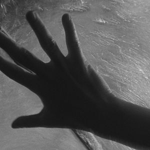 Bilder Der Mensch ist kein Vogel