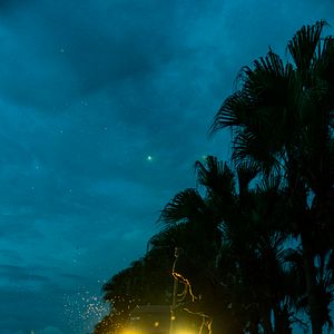 Bilder Are You Lonesome Tonight?