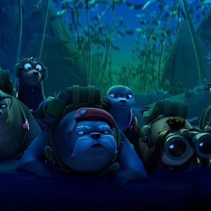 Bilder Das Seehund-Team