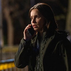 Bilder FBI: International