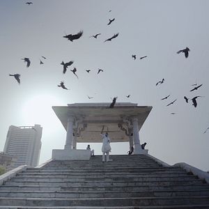 Bilder All That Breathes