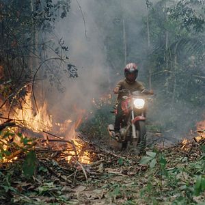 Bilder The Territory