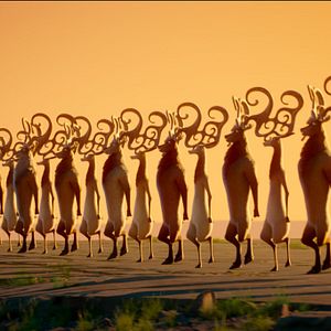 Bilder Riverdance: Ein animiertes Abenteuer