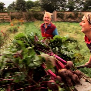 Bilder Voices of Transition